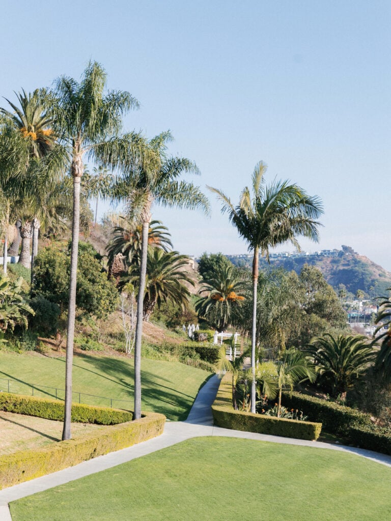 Terraced coastal estate garden with majestic palm trees, showing sun-drenched spaces that photograph beautifully.
