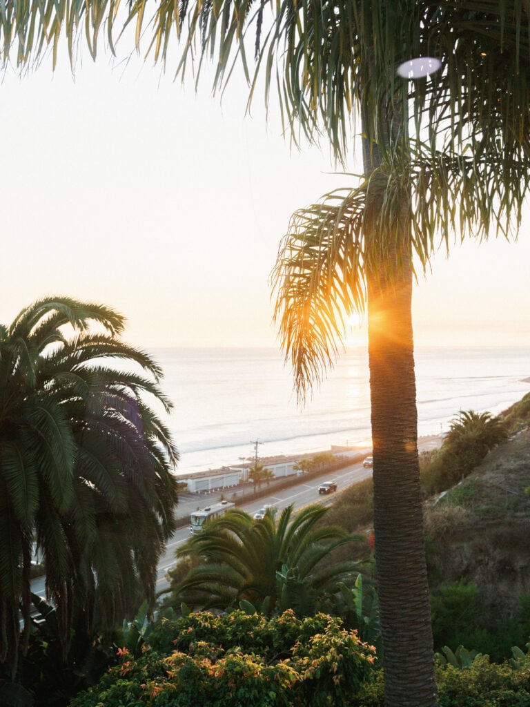 Breathtaking golden hour ocean view framed by palm trees, demonstrating ideal lighting for luxury wedding venue photography in Malibu.