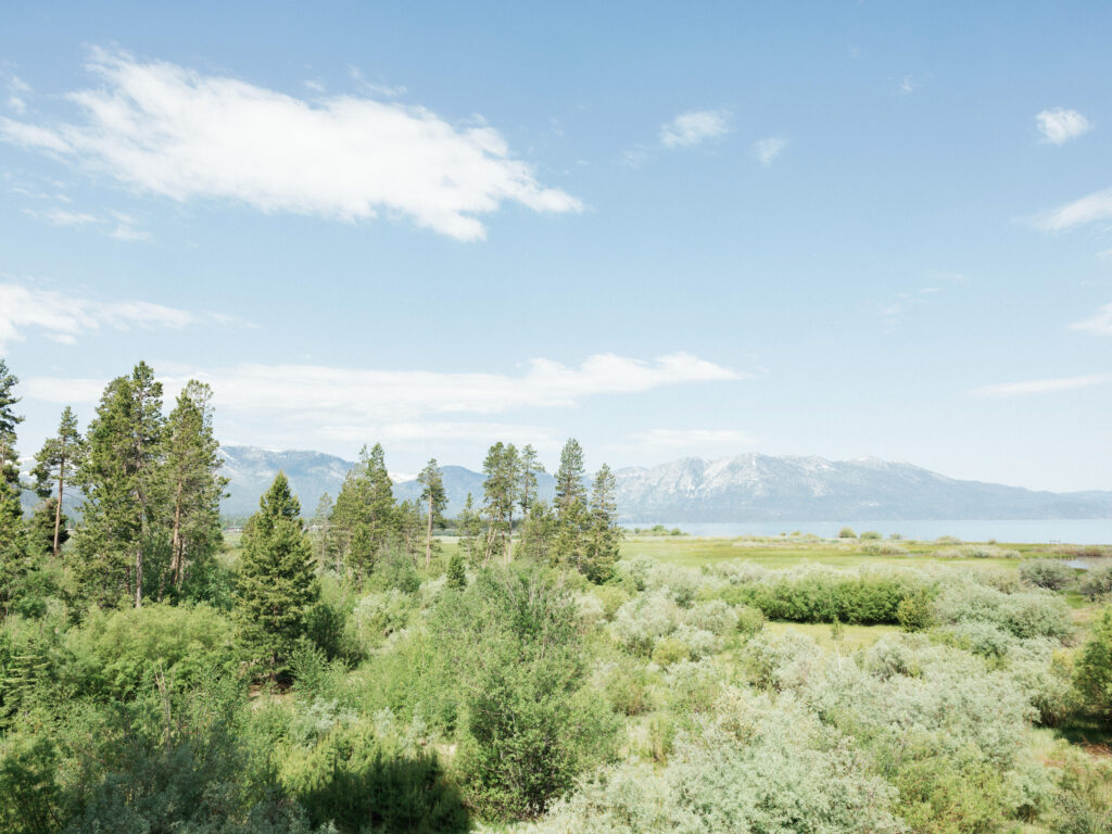 Scenic mountain landscape with pine trees and alpine water in the distance by a Lake Tahoe wedding photographer