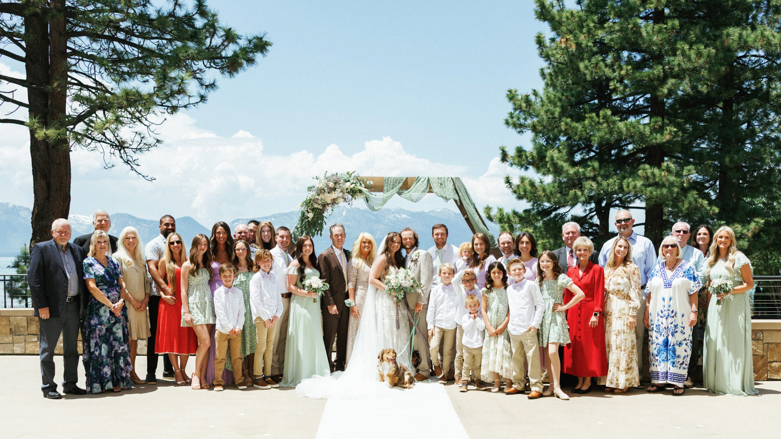 Family portrait with guests and newlyweds standing between tall pine trees on a sunny mountain terrace