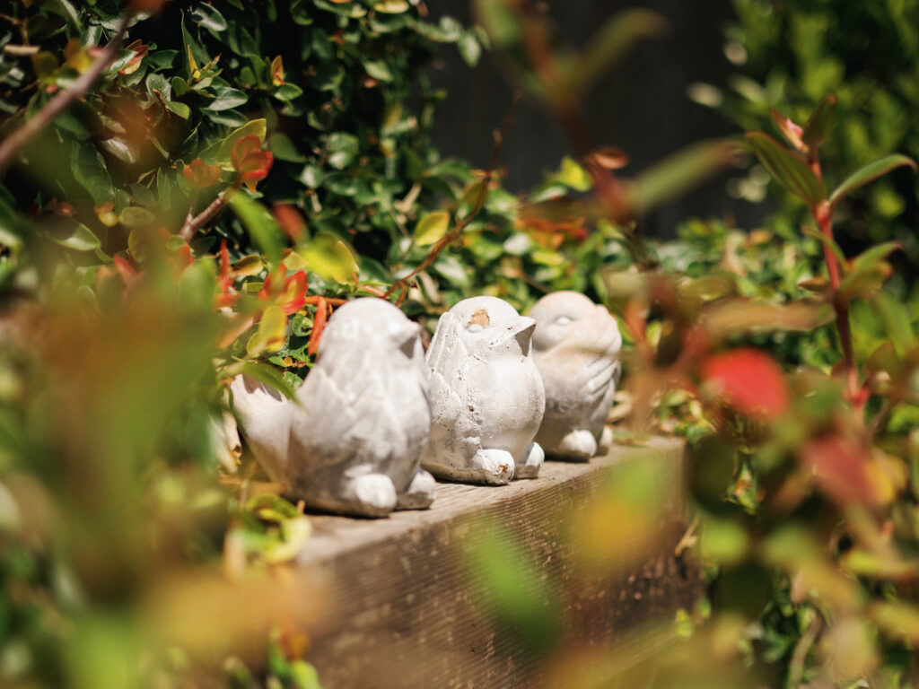 Charming garden detail of stone bird sculptures captured on film by a Napa Valley wedding photographer at a luxury estate.