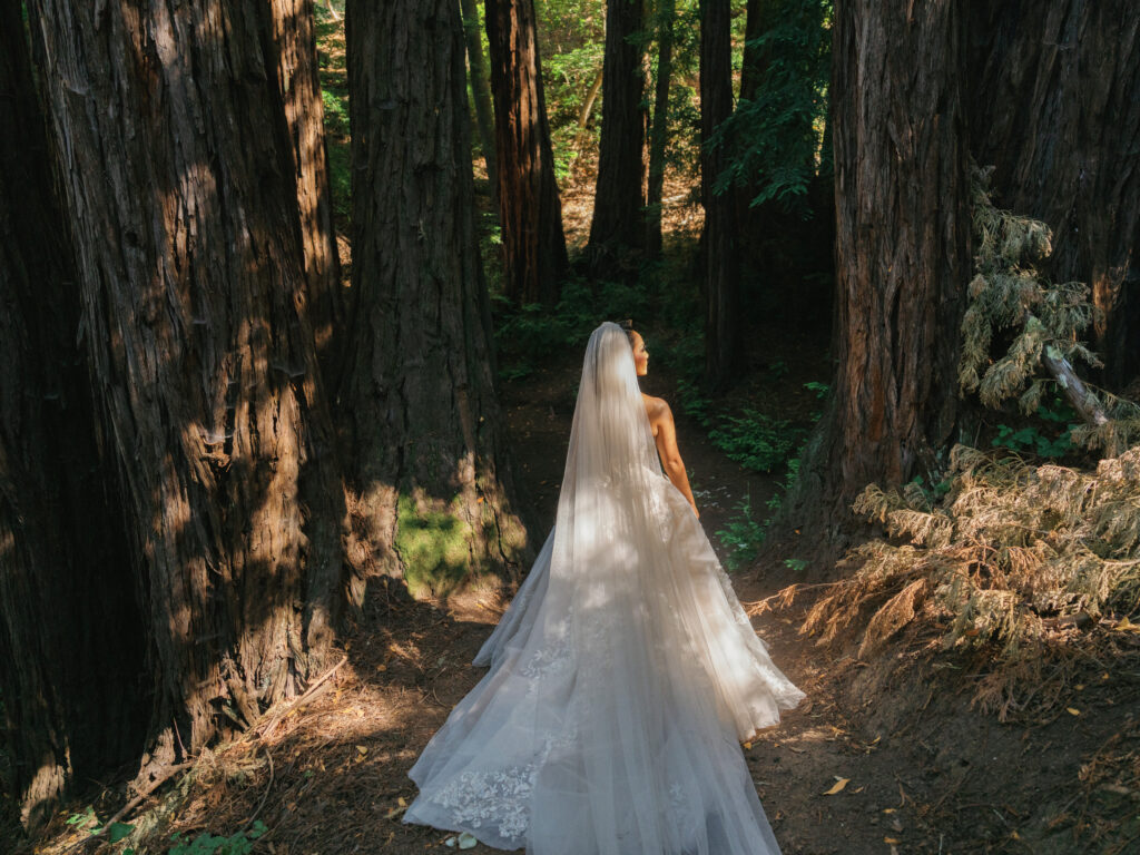 Bride with a long tulle wedding dress and cathedral veil looking up at towering redwood trees in Big Sur California