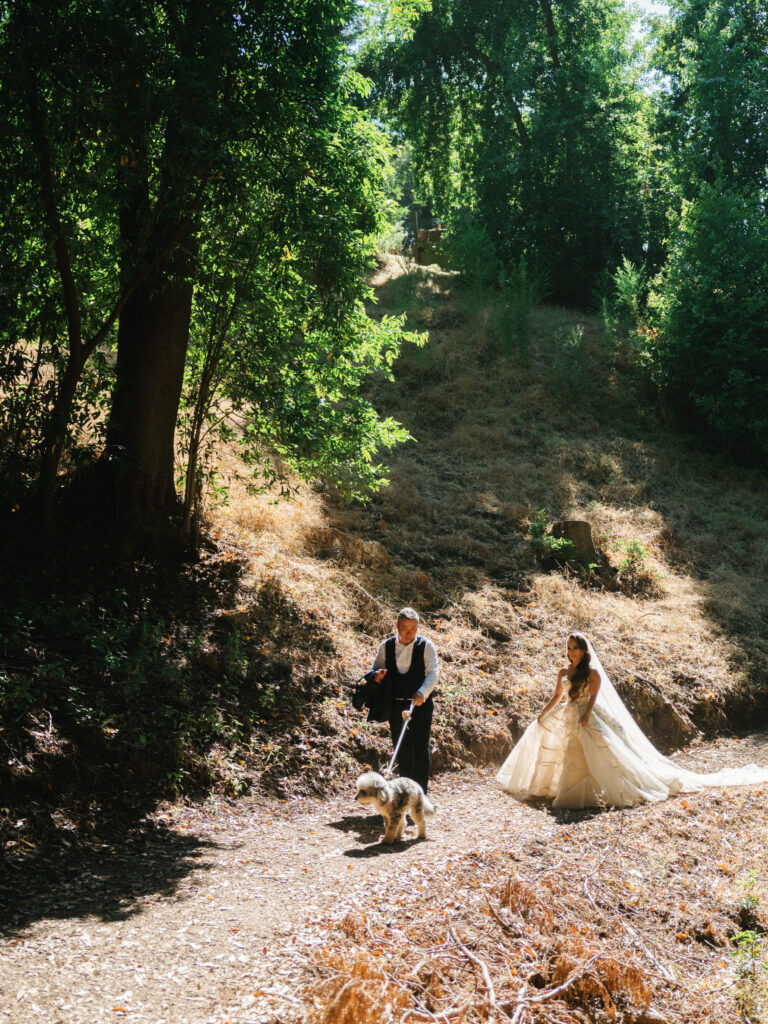Newlyweds and their dog walking down a sunlit dirt path on a forested hillside in Big Sur California